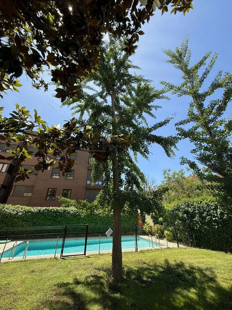 Dúplex en Calle Sánchez Díaz, 6 - Foto 2
