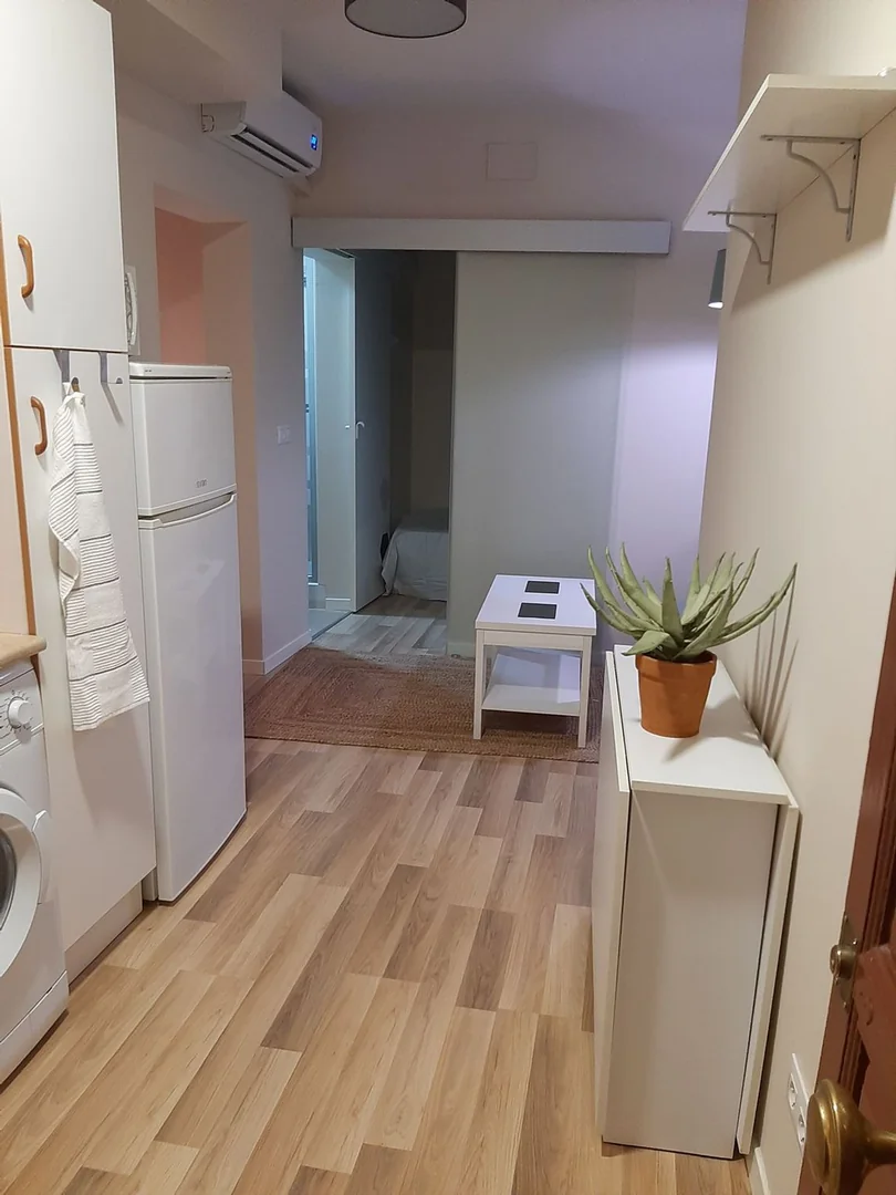 Estudio en Calle del Cardenal Cisneros, 33, Trafalgar - Foto 16