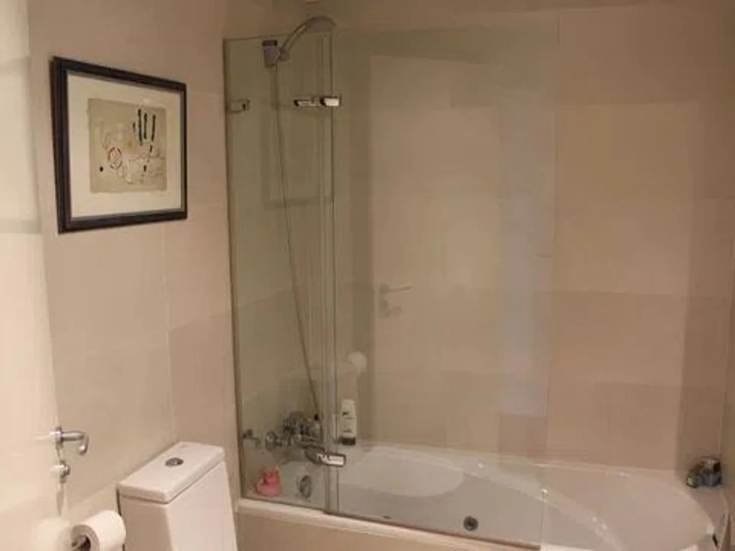 Piso en Calle Mahonia, 3, Conde Orgaz-Piovera - Foto 12