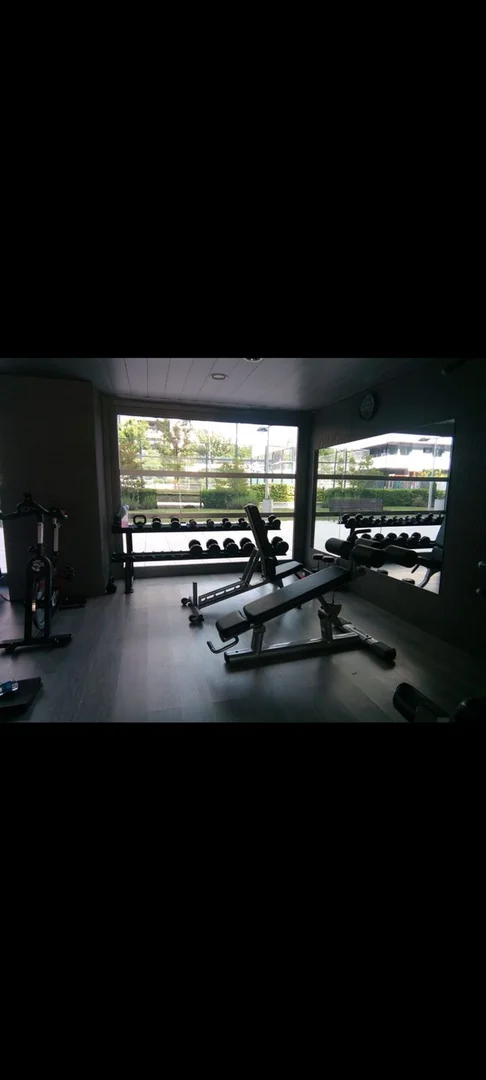 Piso en avenida de Secundino Zuazo, 4 - Foto 17