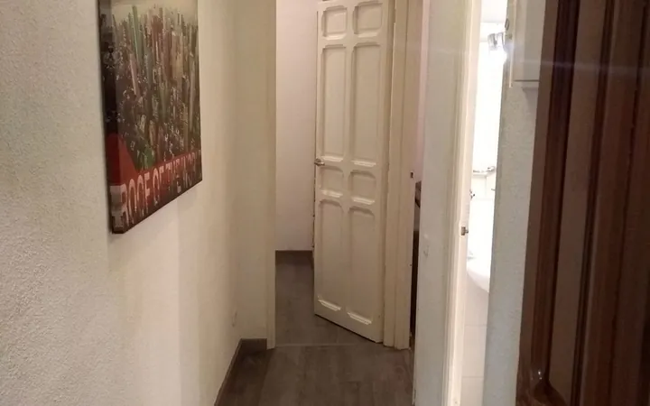 Piso en Calle Salitre, 46, Lavapiés-Embajadores - Foto 1