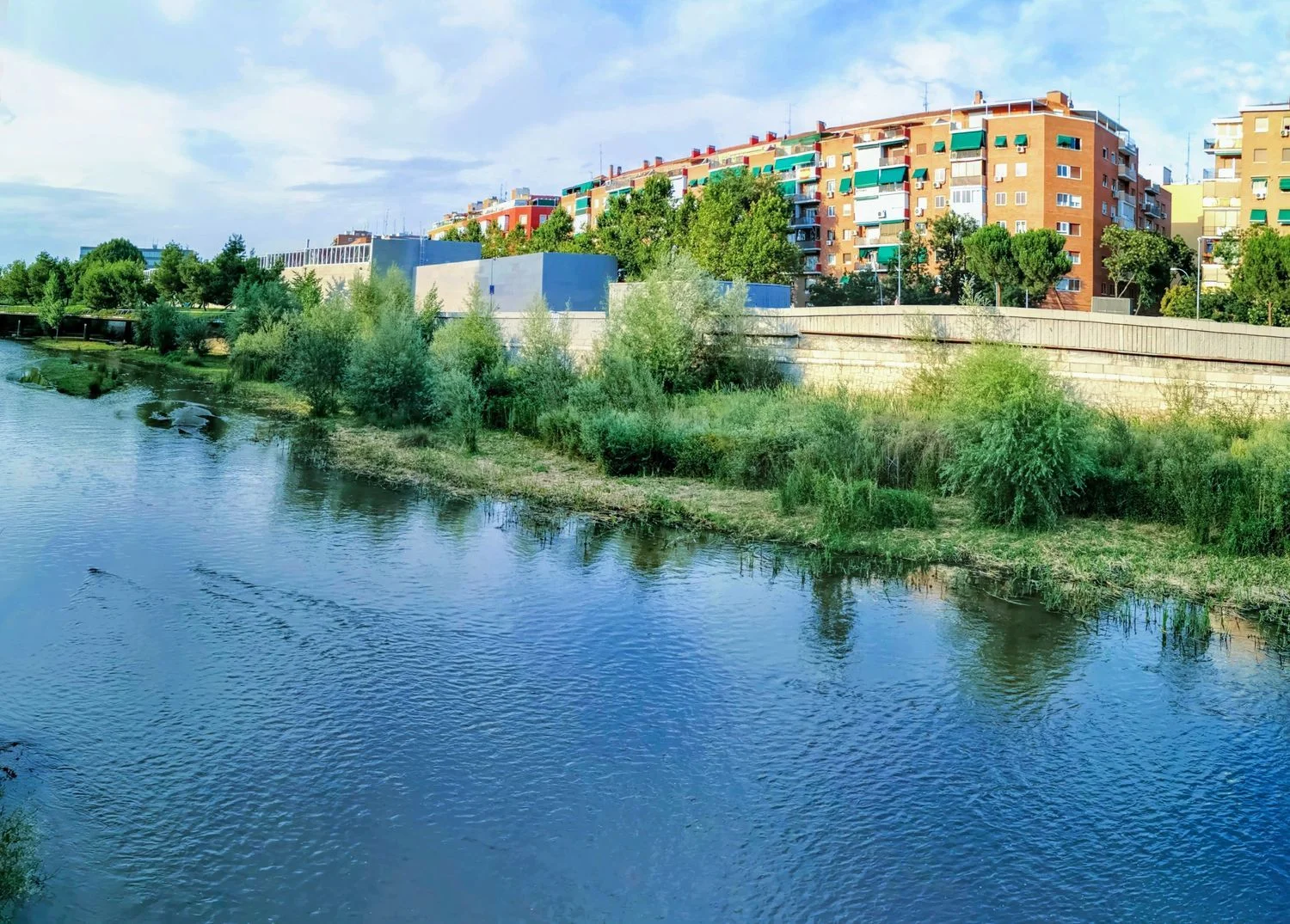 Ático en Barrio Imperial - Foto 5