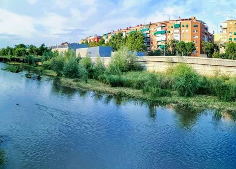 Ático en Barrio Imperial - Foto 5