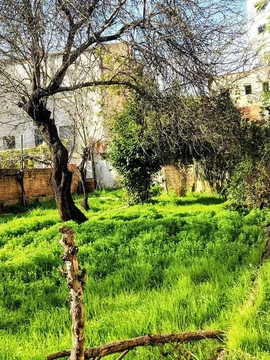 Casa independiente en Barrio Buena Vista - Foto 6