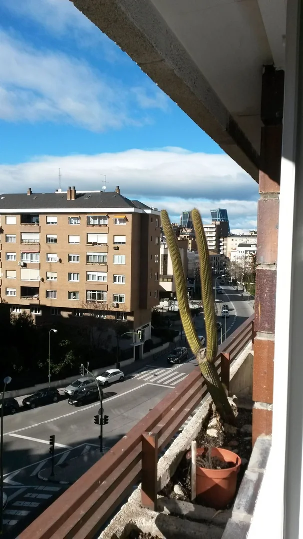 Piso en Calle Potosí, 2, Bernabéu-Hispanoamérica - Foto 20