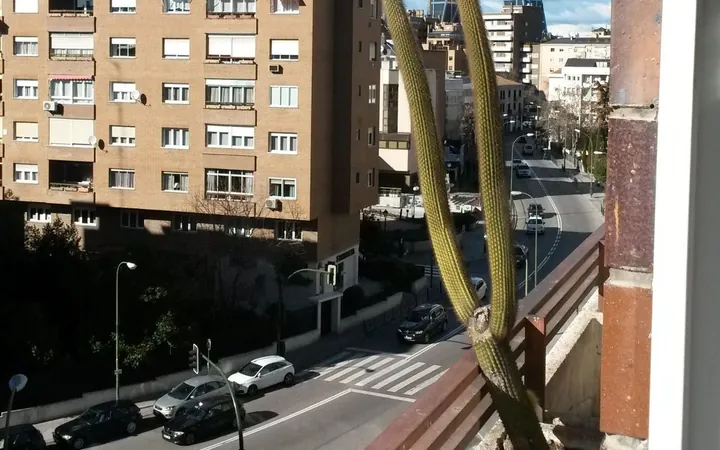 Piso en Calle Potosí, 2, Bernabéu-Hispanoamérica - Foto 20