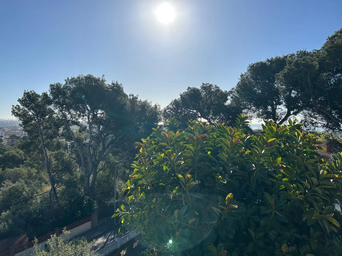 Casa independiente en Montmar - Foto 5