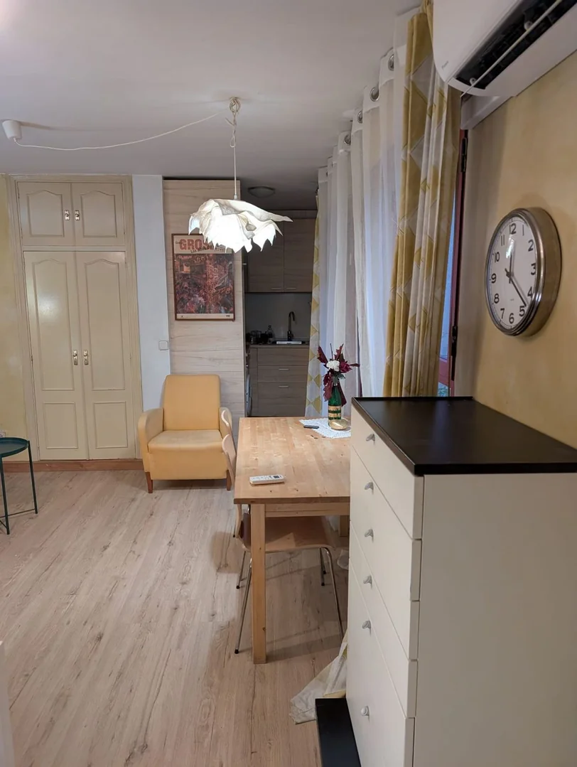 Estudio en Calle de la Cava Baja, 30, Palacio - Foto 14