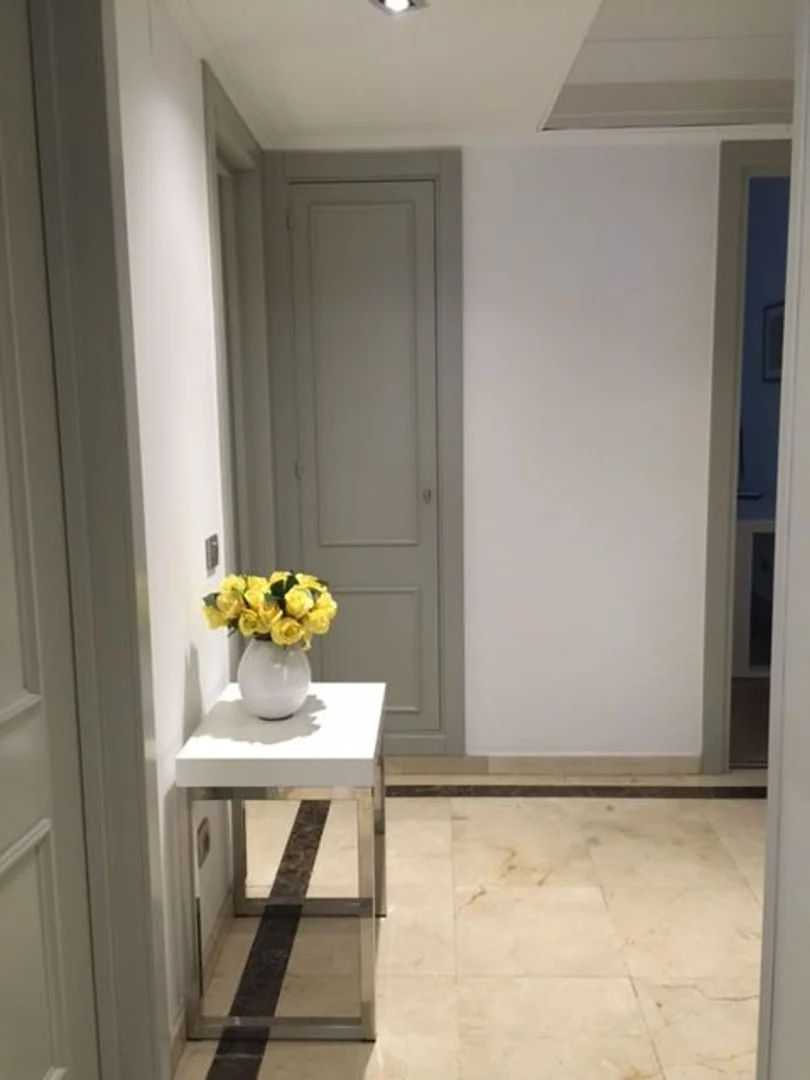Piso en Calle de santa engracia, 120, Nuevos Ministerios-Ríos Rosas - Foto 11