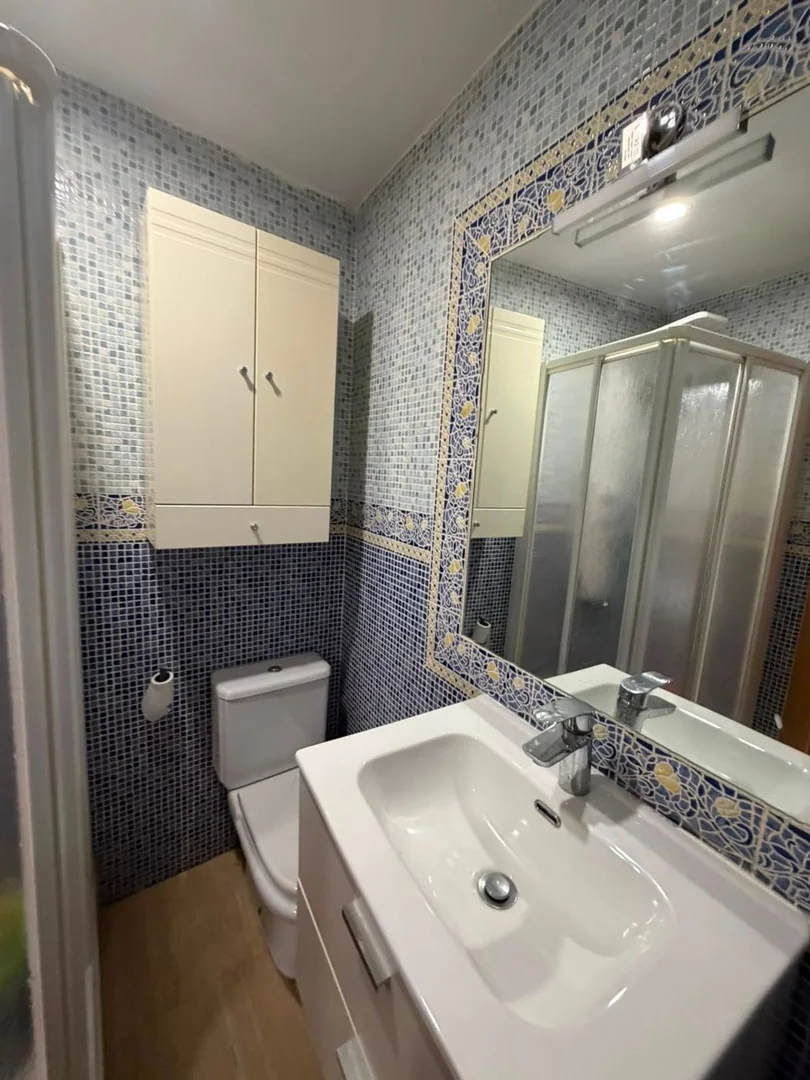 Estudio en Calle de Piamonte, 27 - Foto 6