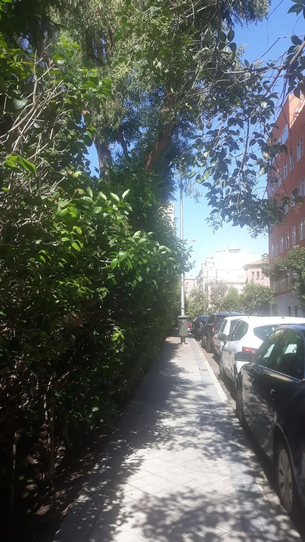 Piso en Calle de Bocángel, 21, Fuente del Berro - Foto 3