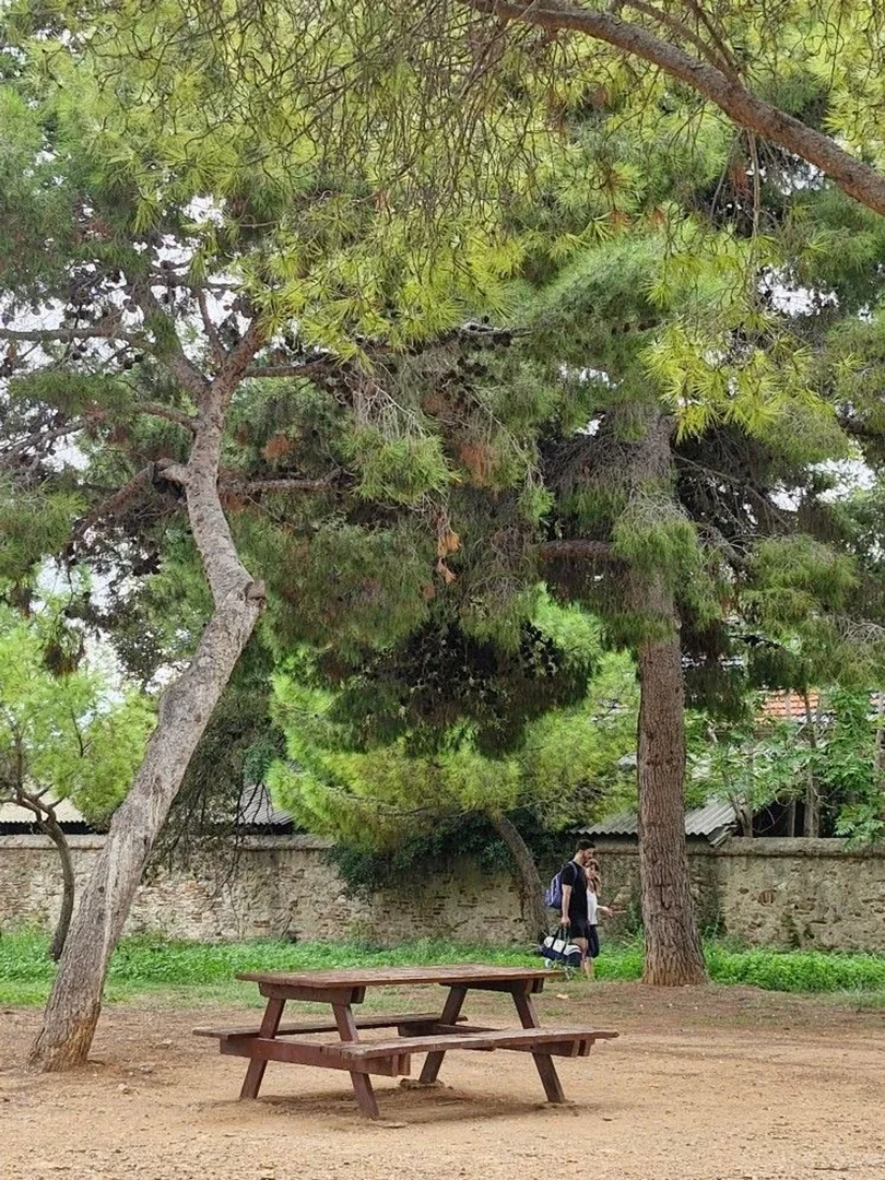 Piso en calle del Farell, 15 - Foto 10