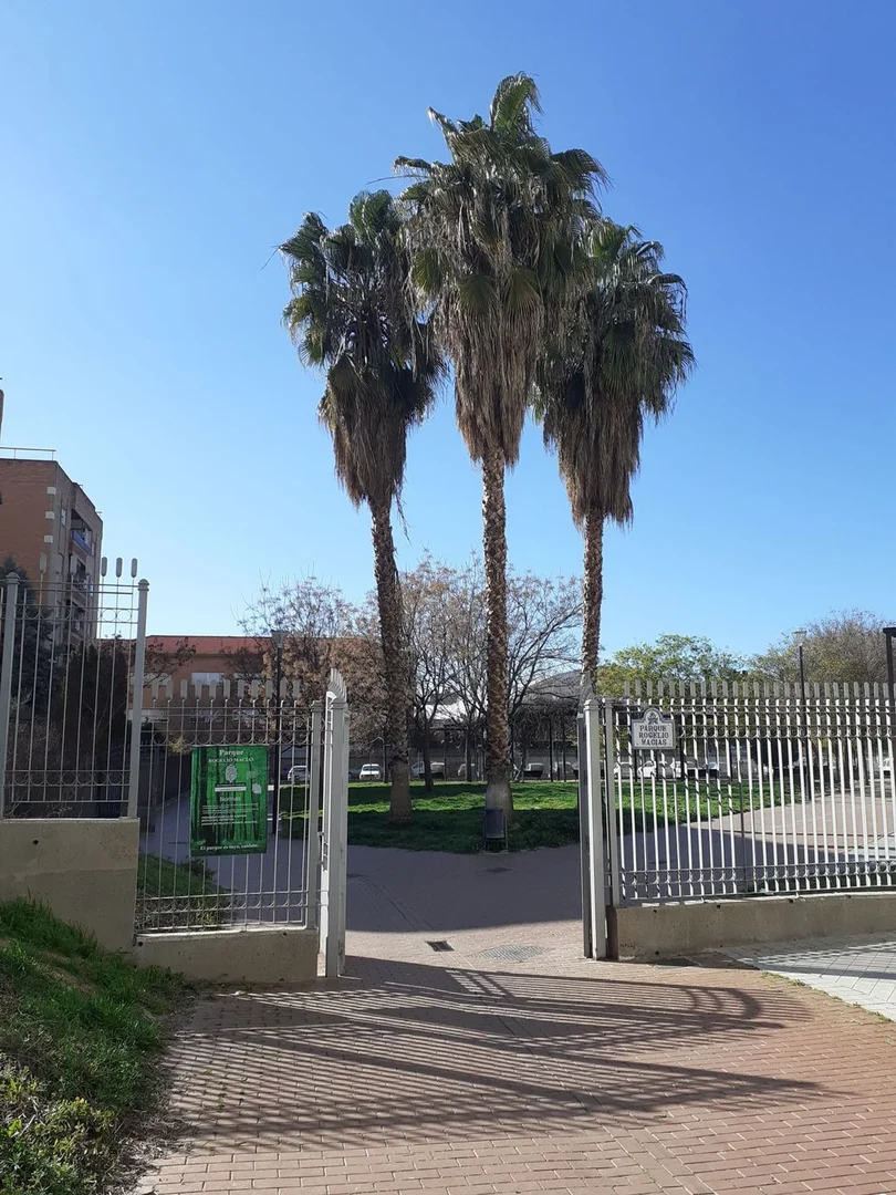 Chalet adosado en avenida de Cadiz, 65 - Foto 6