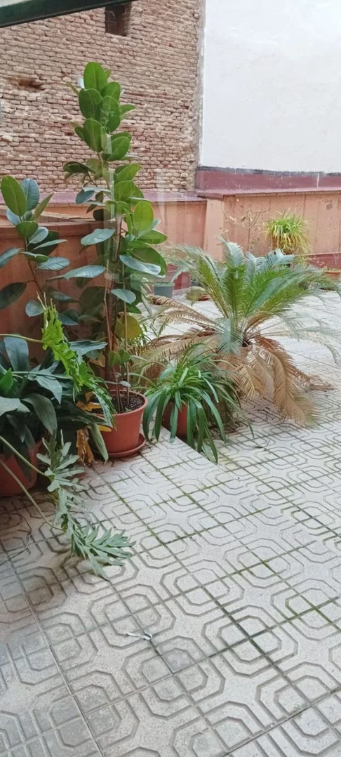 Piso en calle del Olivar, 52 - Foto 3