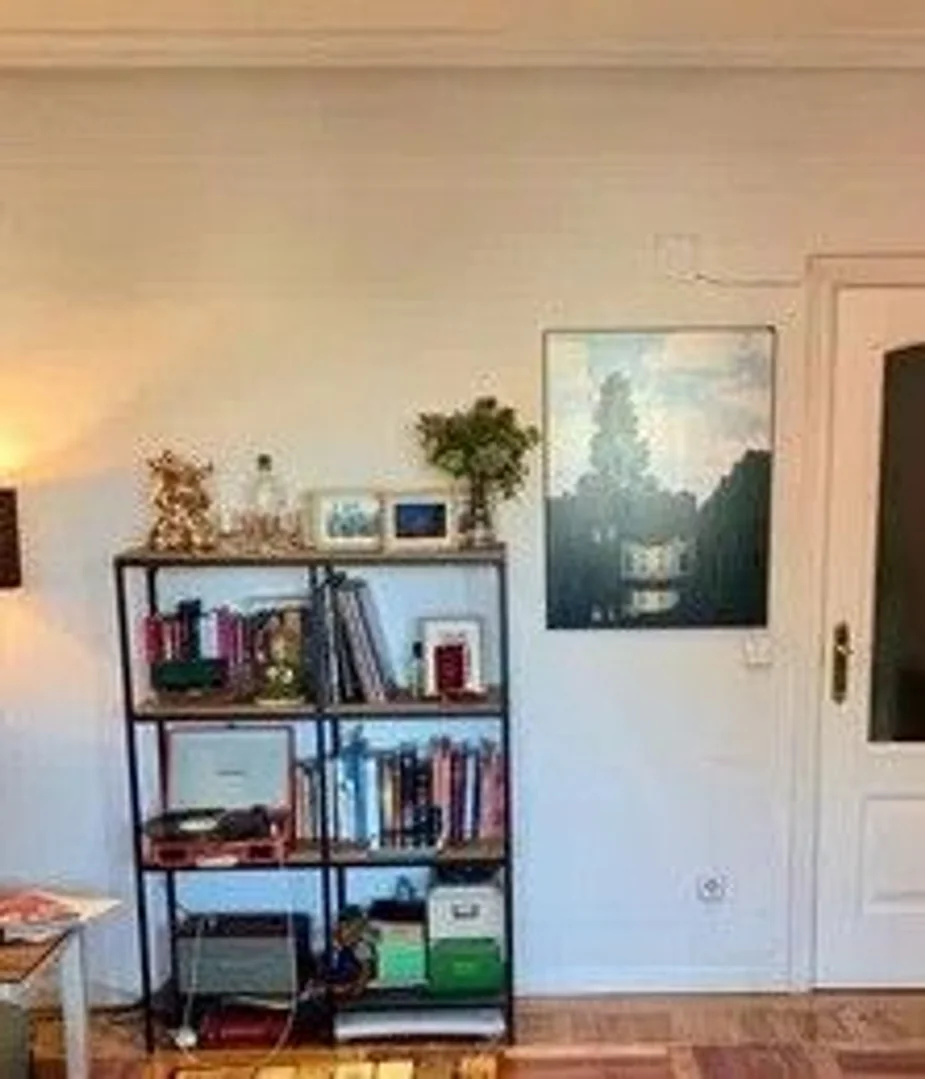 Piso en Ronda de Atocha, 10, Lavapiés-Embajadores - Foto 8