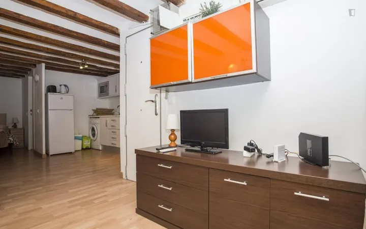 Estudio en Calle d'En Cortines, Sant Pere - Santa Caterina i la Ribera - Foto 5