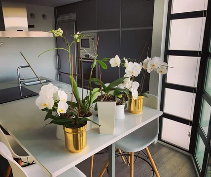 Ático en calle Alcalá, 421 - Foto 24