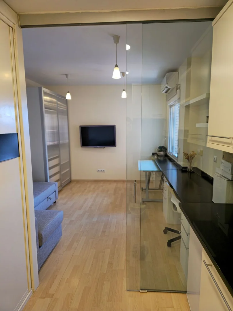 Estudio en Calle de Ayala, 30, Recoletos - Foto 9