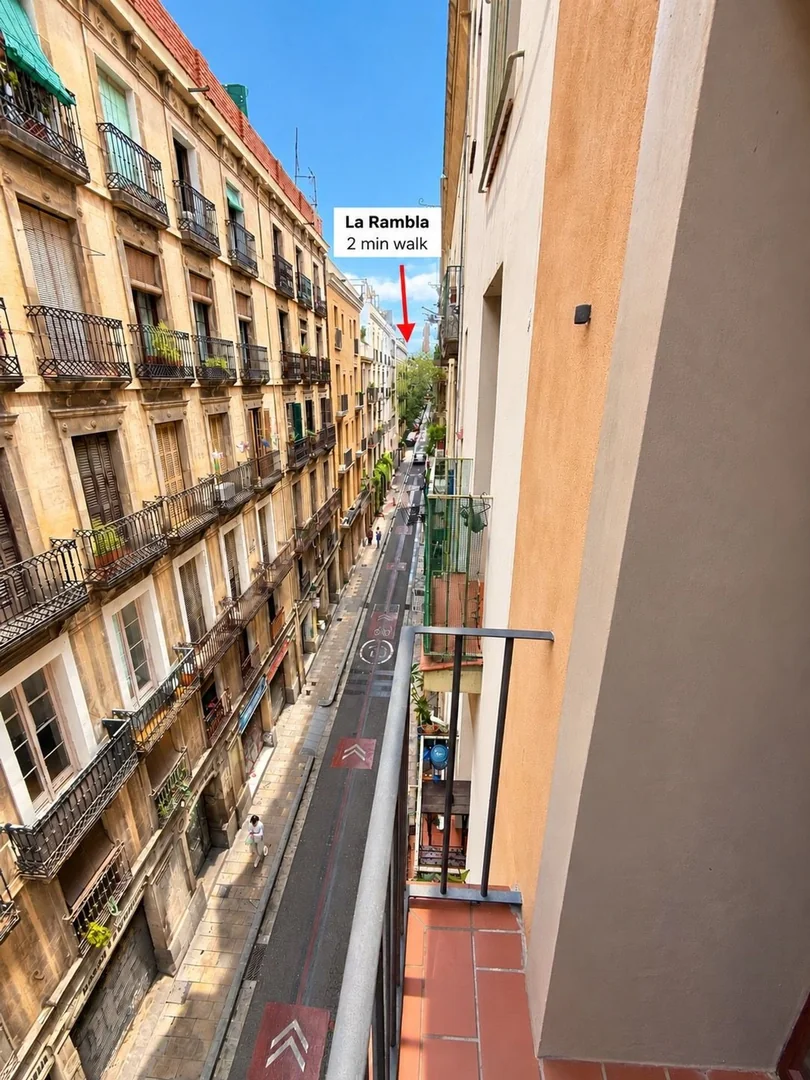 Piso en Calle del Marquès de Barberà, 23, El Raval - Foto 14