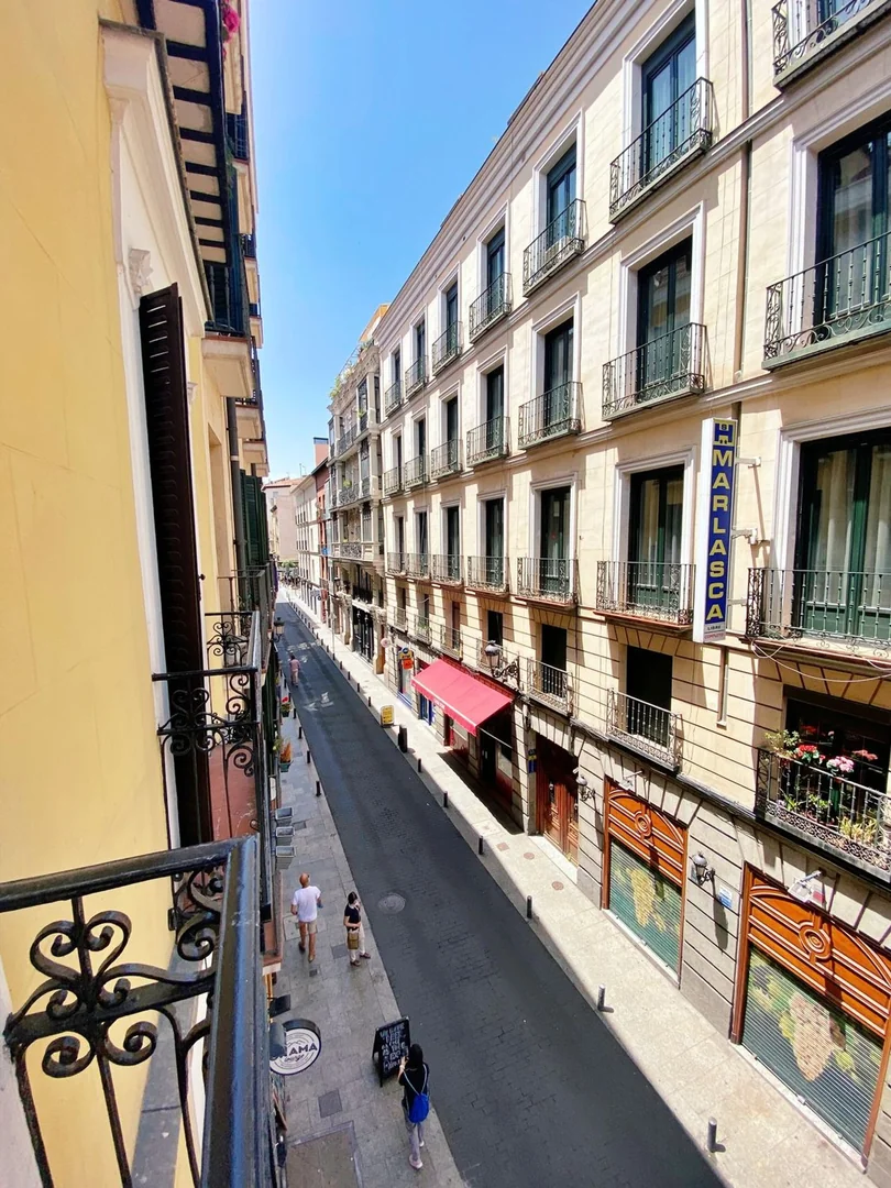 Estudio en Calle de la Cruz, Huertas-Cortes - Foto 19