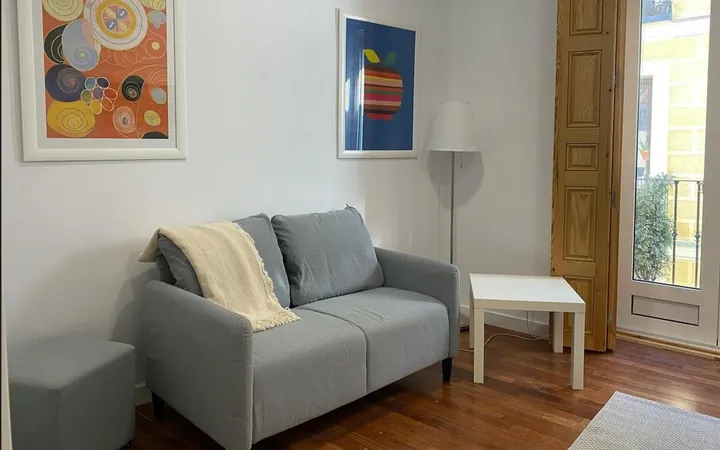 Piso en Calle de Jesús y María, 15, Lavapiés-Embajadores - Foto 7