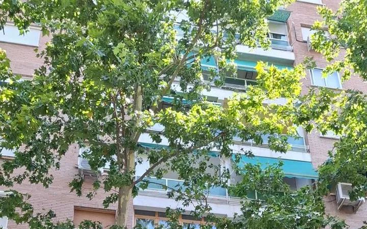 Piso en Calle de las Islas Cíes, 49, Peñagrande - Foto 1