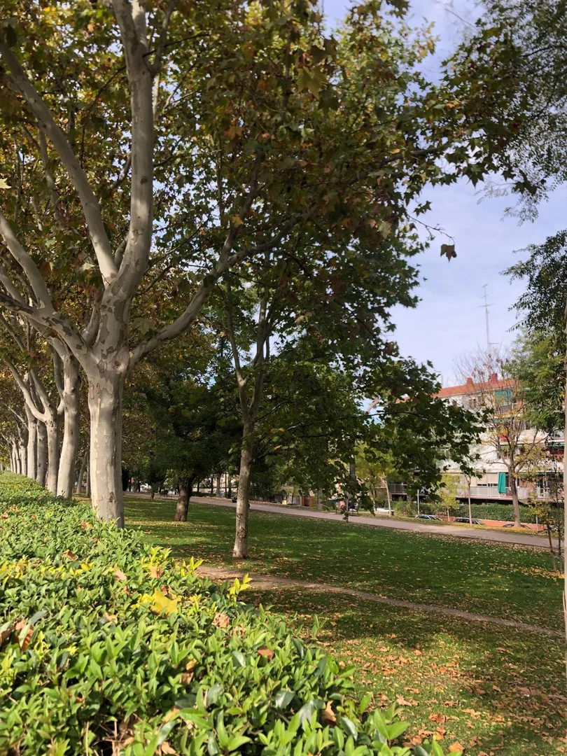 Piso en calle de Alba de Tormes, 28 - Foto 3