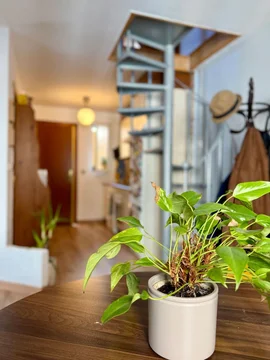 Dúplex en calle de las Matas, Madrid, 13 bis - Foto 10