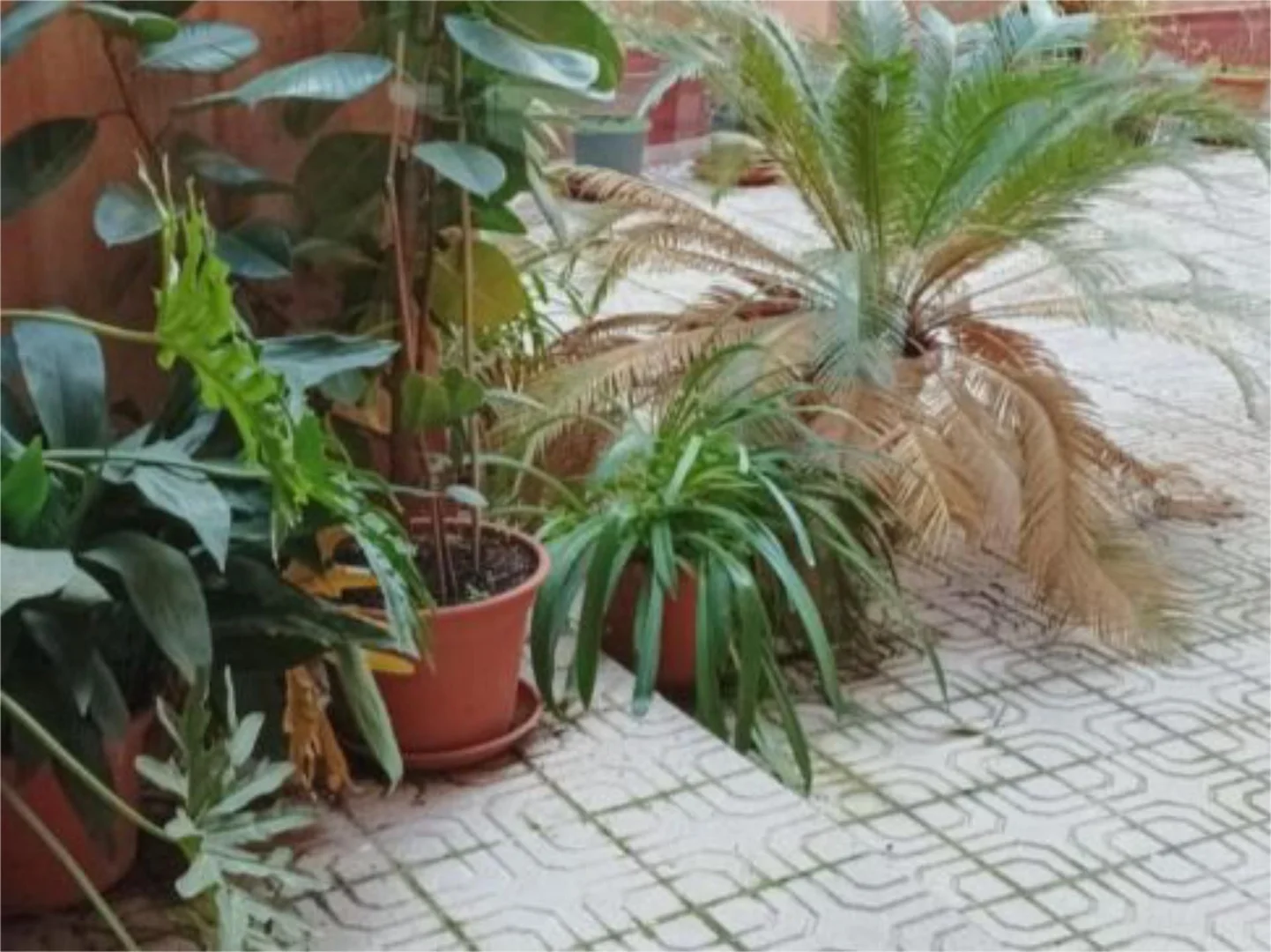 Piso en  Calle del Olivar 52 - Foto 3