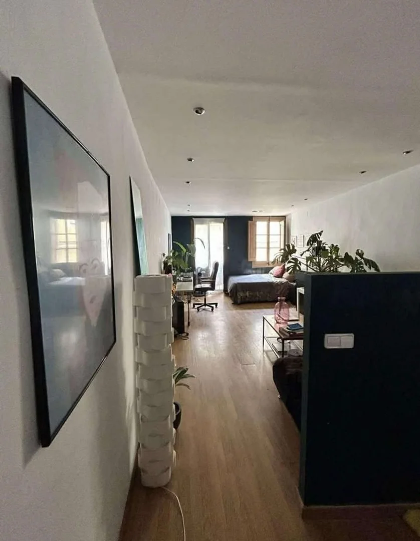 Estudio en Calle de Sant Pere Mitjà, 90, Sant Pere - Santa Caterina i la Ribera - Foto 6