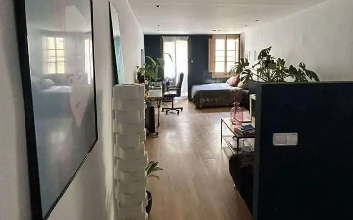 Estudio en Calle de Sant Pere Mitjà, 90, Sant Pere - Santa Caterina i la Ribera - Foto 6