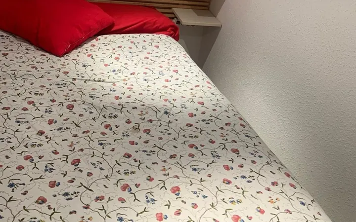Piso en Calle de Rodas, 10, Lavapiés-Embajadores - Foto 10