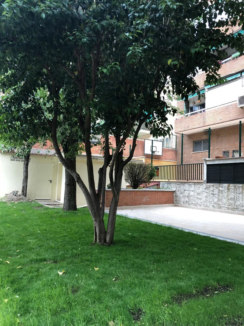 Piso en Calle de Toledo, 140, Imperial - Foto 31