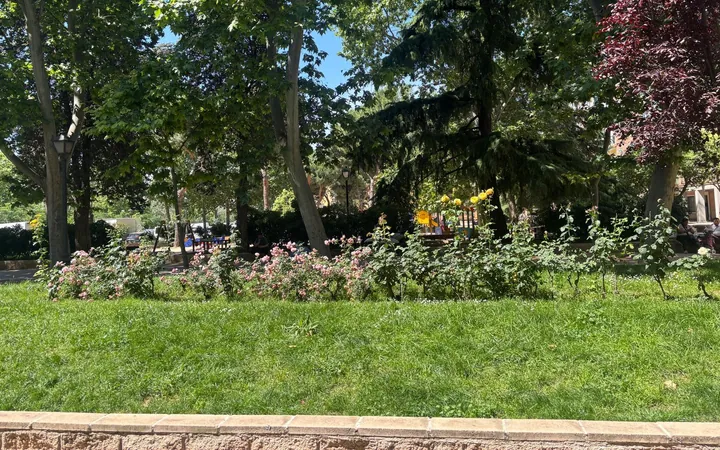 Piso en Plaza de Coímbra, Abrantes - Foto 9