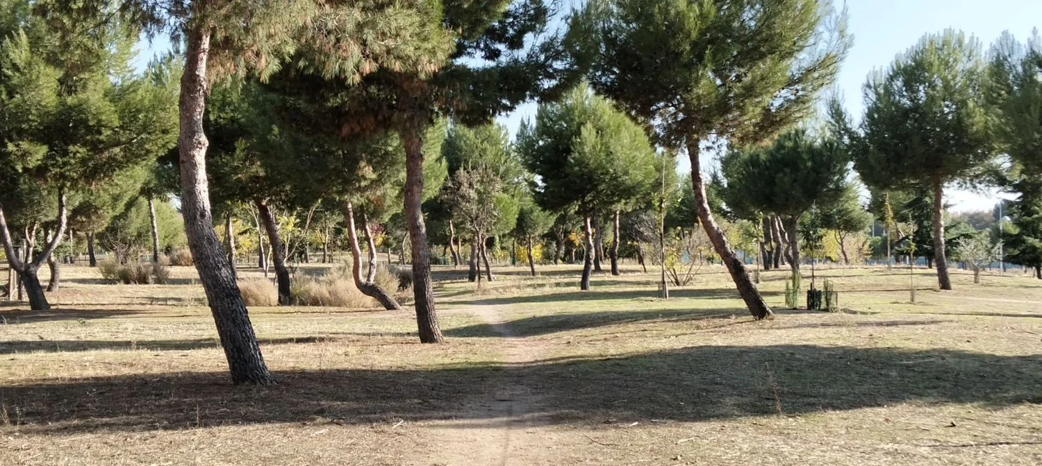 Chalet pareado en calle Tramontana, 16 - Foto 30