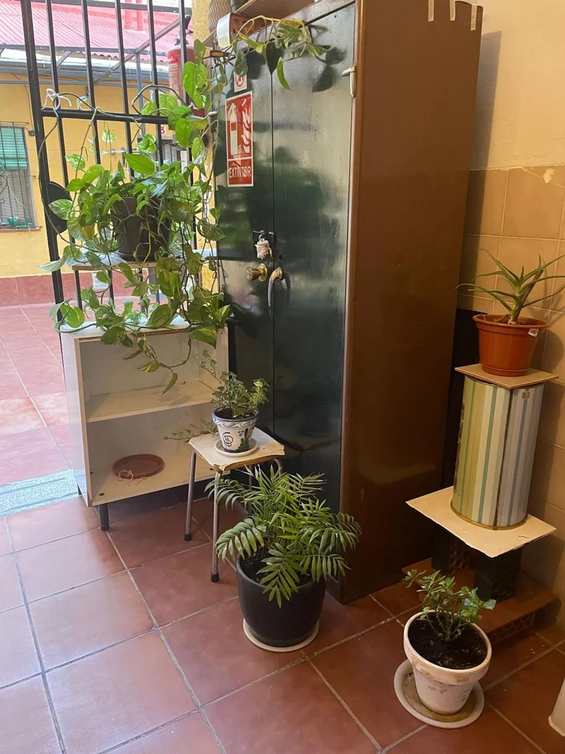 Estudio en Calle Carlos Heredero, 15, Puerta Bonita - Foto 3