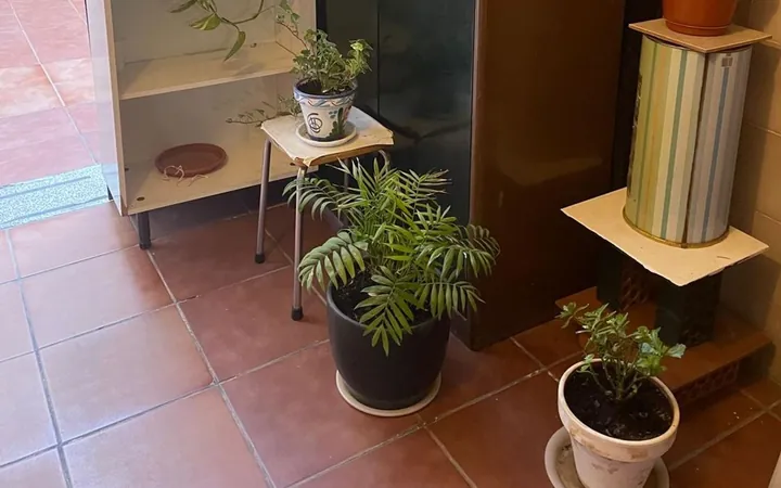 Estudio en Calle Carlos Heredero, 15, Puerta Bonita - Foto 3
