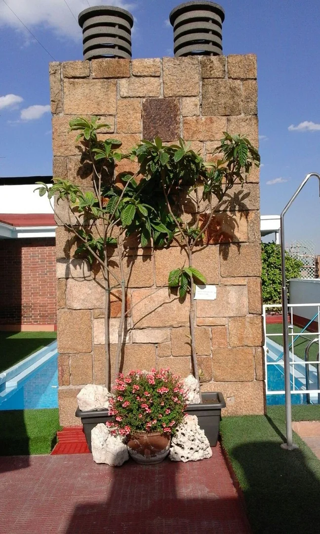 Estudio en Calle del Doctor Fleming, 44, Nueva España - Foto 7