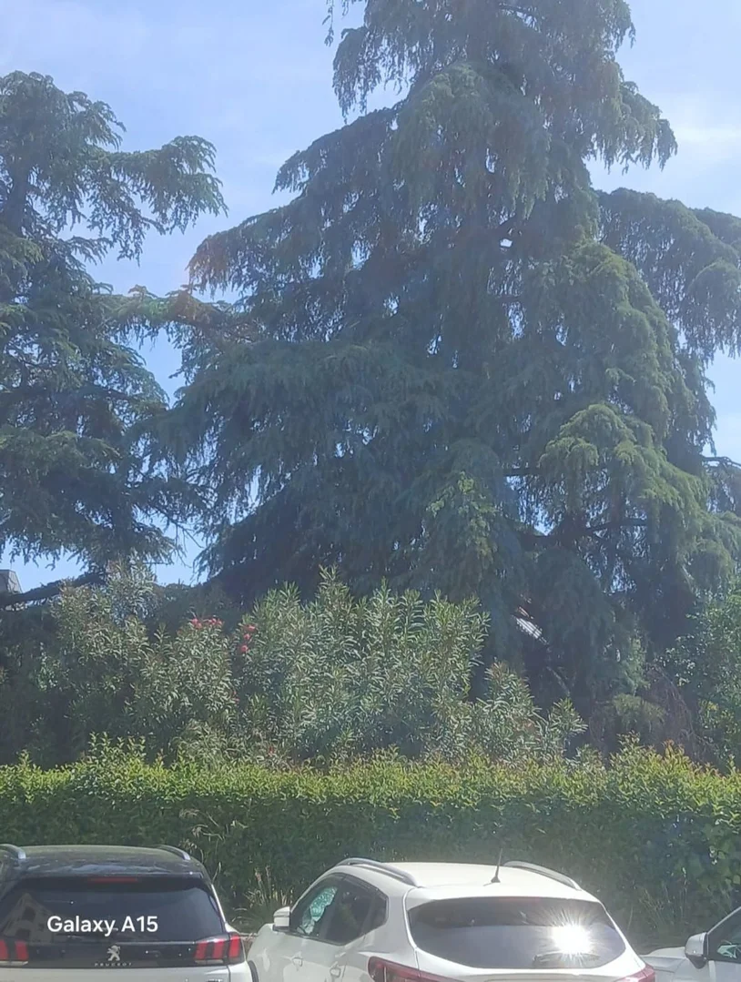 Piso en Paseo de las Delicias, 63, Delicias - Foto 4