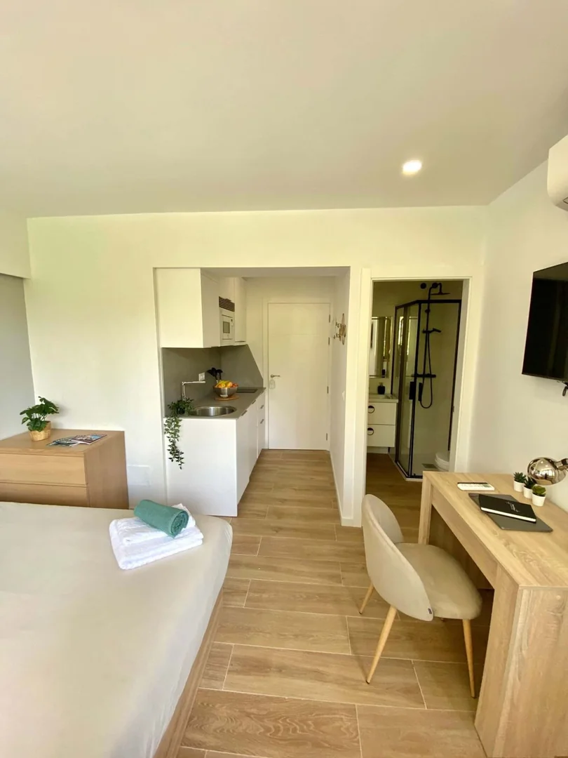 Estudio en Avenida del Doctor Federico Rubio y Galí, 11, Bellas Vistas - Foto 4