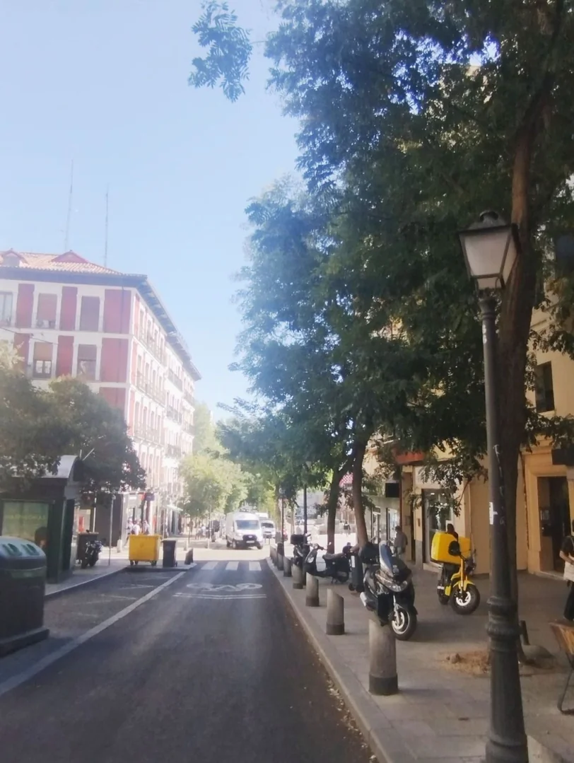 Piso en Calle de Embajadores, 66, Lavapiés-Embajadores - Foto 26