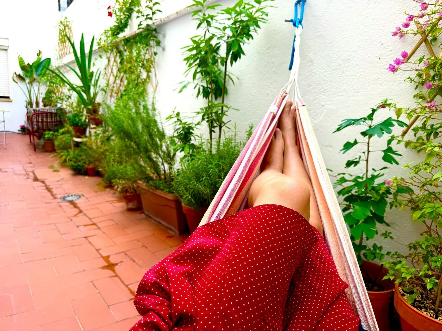 Piso en Calle de Lope de Rueda, 39, Ibiza - Foto 2