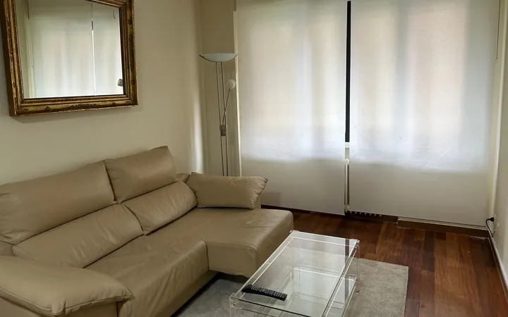 Piso en Calle de Diego de León, 12, Castellana - Foto 23