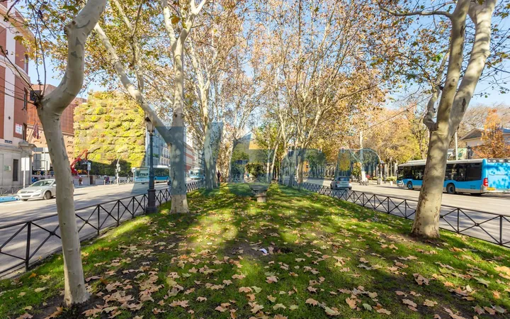 Piso en Paseo del Prado, Huertas-Cortes - Foto 49
