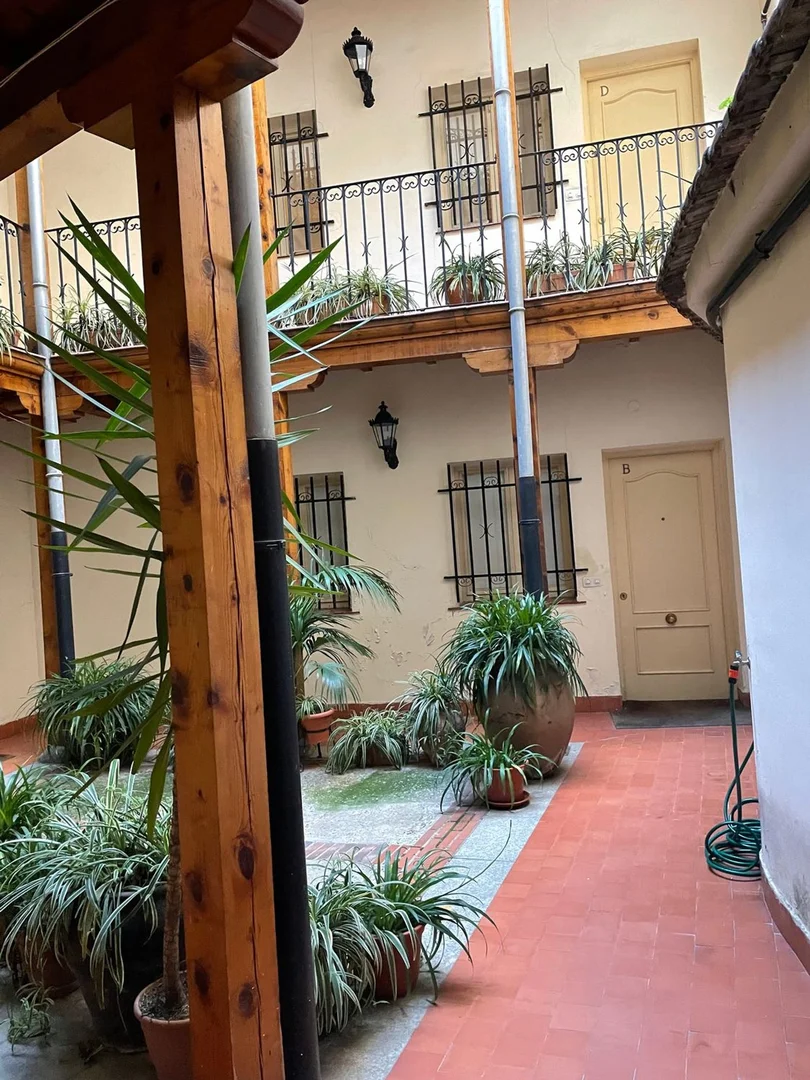 Dúplex en travesía San Mateo, 10 - Foto 5