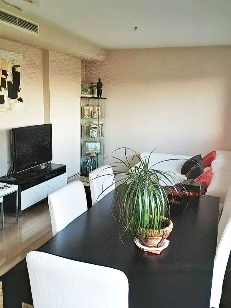 Ático en calle de Vicente Blasco Ibáñez, 23 - Foto 4