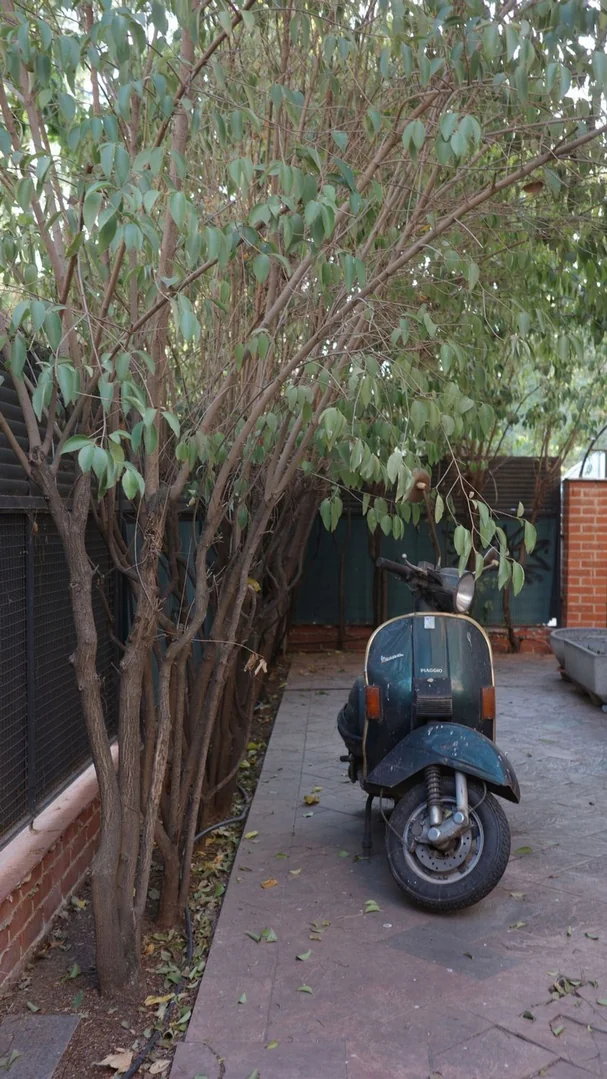 Chalet pareado en Calle de Portalegre, 63, Opañel - Foto 4