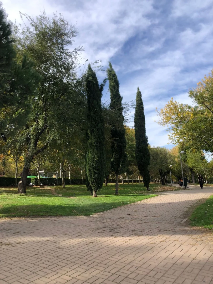 Piso en calle de Alba de Tormes, 28 - Foto 1
