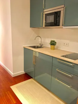 Estudio en calle Emilio Carrere, 4 - Foto 3