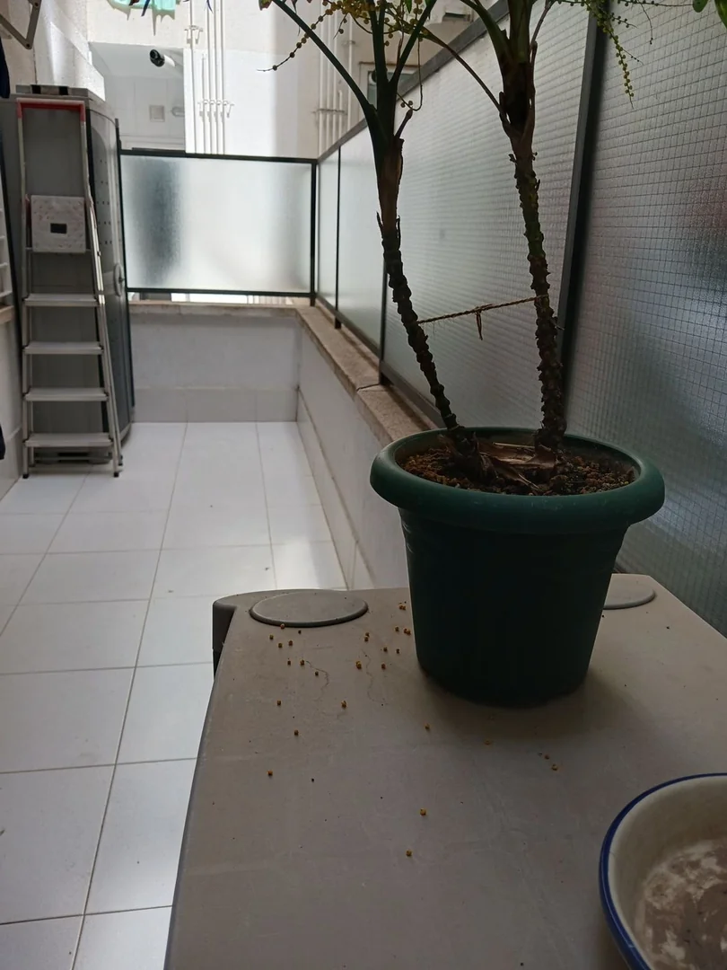 Piso en Calle de Costa i Cuxart, 23, Vilapicina i la Torre Llobeta - Foto 5